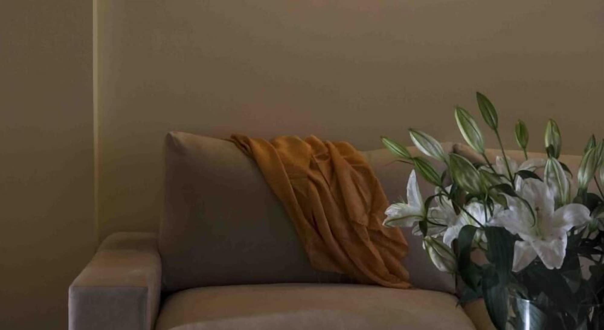 Valis Resort Hotel Volos Eksteriør bilde A throw draped over a sofa