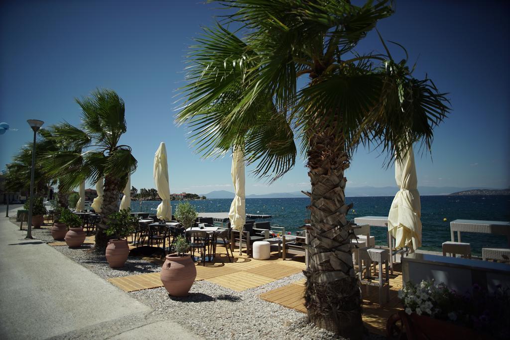 Valis Resort Hotel Volos Eksteriør bilde Palm trees in the port of Argostoli